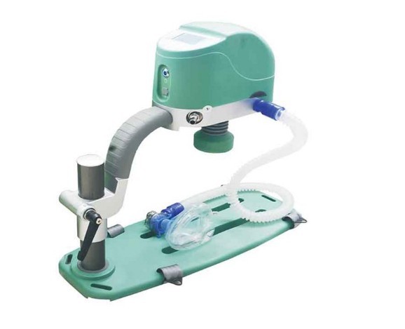 心肺菠萝福利导航